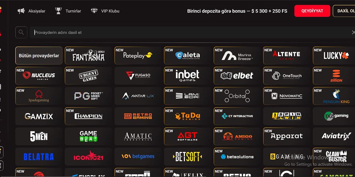 Pinco Casino provider list 1